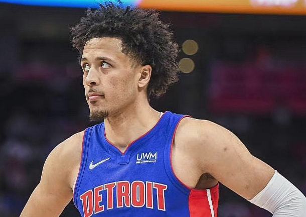 数据显示 数据显示