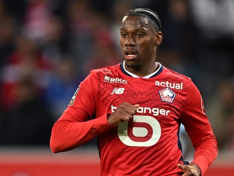 便展现了极 便展现了极